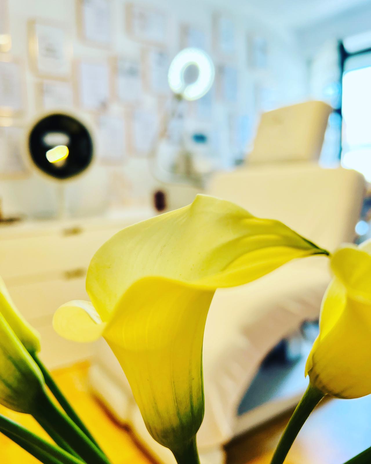 Studio-Einblick bei ANNE CONSTANTIN BEAUTY. 1